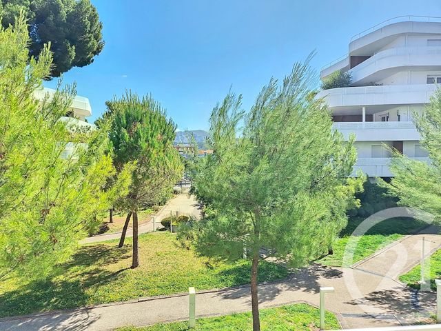 Appartement T2 à louer - 2 pièces - 39.2 m2 - MARSEILLE - 13009 - PROVENCE-ALPES-COTE-D-AZUR - Century 21 Can Transactions